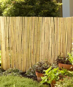 Vigoro 4 ft. H x 6 ft. W Natural Bamboo Fence -Outdoor Plant Life natural vigoro garden fencing 4477405 1f 1000