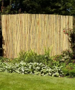 Vigoro 4 ft. H x 6 ft. W Natural Bamboo Fence -Outdoor Plant Life natural vigoro garden fencing 4477405 31 1000