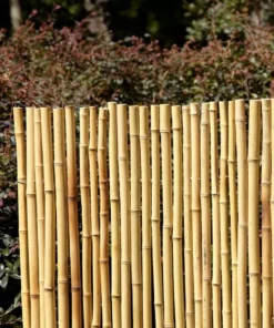 Vigoro 4 ft. H x 6 ft. W Natural Bamboo Fence -Outdoor Plant Life natural vigoro garden fencing 4477405 44 1000