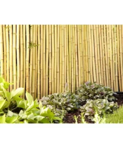 Vigoro 4 ft. H x 6 ft. W Natural Bamboo Fence -Outdoor Plant Life natural vigoro garden fencing 4477405 c3 1000