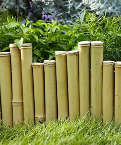 Vigoro Natural Pipe Organ 8 in. Bamboo Garden Fence 11 Vigoro Natural Pipe Organ 8 in. Bamboo Garden Fence -Outdoor Plant Life natural vigoro garden fencing 4477408 4f 1000