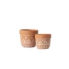 SULLIVANS Orange Cement Planter (Set of 2) 1 SULLIVANS Orange Cement Planter (Set of 2) -Outdoor Plant Life orange sullivans plant pots cmt1180 64 1000