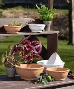 SULLIVANS Adobe Cement Dish Planter - Set of 3 9 SULLIVANS Adobe Cement Dish Planter - Set of 3 -Outdoor Plant Life orange sullivans plant pots cmt1218 4f 1000