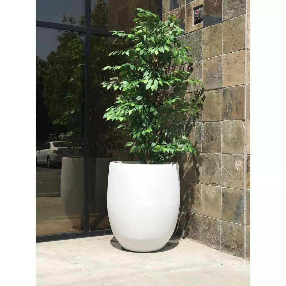 KANTE 21.7 in. H Round Pure White Concrete Indoor Outdoor Modern Tall Planter 8 KANTE 21.7 in. H Round Pure White Concrete Indoor Outdoor Modern Tall Planter - Image 6