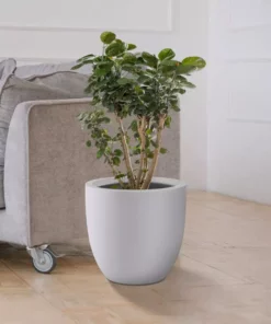 KANTE 13.39 in. x 12.6 in. Round Pure White Lightweight Concrete and Fiberglass Indoor Outdoor Planter with Drainage Hole -Outdoor Plant Life pure white kante plant pots rc0152b c80011 44 1000