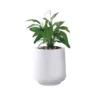 KANTE 17.3 in. H Round Pure White Concrete Planter, Outdoor Indoor Large Planter Pots Containers with Drainage Holes 1 KANTE 17.3 in. H Round Pure White Concrete Planter, Outdoor Indoor Large Planter Pots Containers with Drainage Holes -Outdoor Plant Life pure white kante plant pots rf2015022b c80011 64 1000