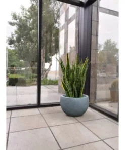 KANTE 12 in. W Round Slate Gray Concrete/Fiberglass Indoor Outdoor Modern Seamless Bowl Planter 14 KANTE 12 in. W Round Slate Gray Concrete/Fiberglass Indoor Outdoor Modern Seamless Bowl Planter -Outdoor Plant Life slate gray kante plant pots osc0049a c60611 fa 1000