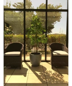 KANTE 10 in. W Round Slate Gray Concrete/Fiberglass Indoor Outdoor Elegant Planter -Outdoor Plant Life slate gray kante plant pots osc0050a c60611 76 1000