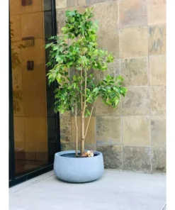 KANTE 20 in. W Round Slate Gray Lightweight Concrete/Fiberglass Indoor Outdoor Elegant Bowl Planter -Outdoor Plant Life slate gray kante plant pots osc0051c c60611 66 1000