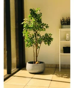 KANTE 20 in. W Round Slate Gray Lightweight Concrete/Fiberglass Indoor Outdoor Elegant Bowl Planter -Outdoor Plant Life slate gray kante plant pots osc0051c c60611 76 1000