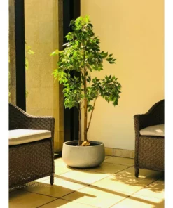 KANTE 20 in. W Round Slate Gray Lightweight Concrete/Fiberglass Indoor Outdoor Elegant Bowl Planter -Outdoor Plant Life slate gray kante plant pots osc0051c c60611 fa 1000