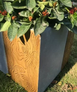 KANTE 31 in. L Timber Ridge Lightweight Concrete Modern Rectangle Outdoor Planter -Outdoor Plant Life timber ridge kante plant pots rf0219b c80811 4f 1000