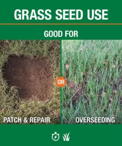 Vigoro 3 lbs. Fast Grass Seed Mix -Outdoor Plant Life vigoro grass seed 25102 4f 1000