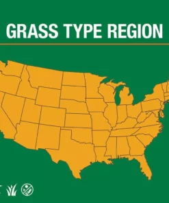 Vigoro 3 lbs. Fast Grass Seed Mix -Outdoor Plant Life vigoro grass seed 25102 66 1000