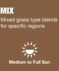 Vigoro 3 lbs. Fast Grass Seed Mix -Outdoor Plant Life vigoro grass seed 25102 a0 1000