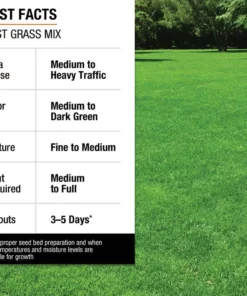 Vigoro 3 lbs. Fast Grass Seed Mix -Outdoor Plant Life vigoro grass seed 25102 fa 1000