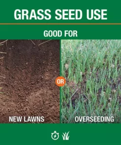 Vigoro 7 lbs. Sun and Shade Grass Seed Mix with Water Saver Seed Coating 23 Vigoro 7 lbs. Sun and Shade Grass Seed Mix with Water Saver Seed Coating -Outdoor Plant Life vigoro grass seed 25445 4f 1000