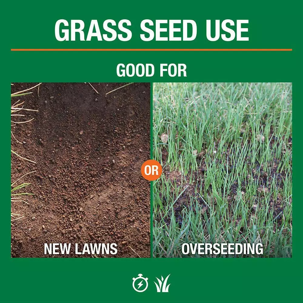 Vigoro 7 lbs. Sun and Shade Grass Seed Mix with Water Saver Seed Coating 11 Vigoro 7 lbs. Sun and Shade Grass Seed Mix with Water Saver Seed Coating - Image 9