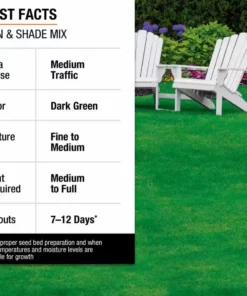 Vigoro 7 lbs. Sun and Shade Grass Seed Mix with Water Saver Seed Coating 26 Vigoro 7 lbs. Sun and Shade Grass Seed Mix with Water Saver Seed Coating -Outdoor Plant Life vigoro grass seed 25445 fa 1000