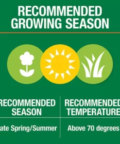 Vigoro 10 lbs. Bermuda Grass Seed Blend with Water Saver Seed Coating 24 Vigoro 10 lbs. Bermuda Grass Seed Blend with Water Saver Seed Coating -Outdoor Plant Life vigoro grass seed 25502 1f 1000