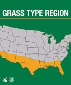 Vigoro 10 lbs. Bermuda Grass Seed Blend with Water Saver Seed Coating 20 Vigoro 10 lbs. Bermuda Grass Seed Blend with Water Saver Seed Coating -Outdoor Plant Life vigoro grass seed 25502 66 1000