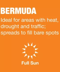 Vigoro 10 lbs. Bermuda Grass Seed Blend with Water Saver Seed Coating 18 Vigoro 10 lbs. Bermuda Grass Seed Blend with Water Saver Seed Coating -Outdoor Plant Life vigoro grass seed 25502 a0 1000