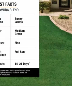 Vigoro 10 lbs. Bermuda Grass Seed Blend with Water Saver Seed Coating 26 Vigoro 10 lbs. Bermuda Grass Seed Blend with Water Saver Seed Coating -Outdoor Plant Life vigoro grass seed 25502 fa 1000