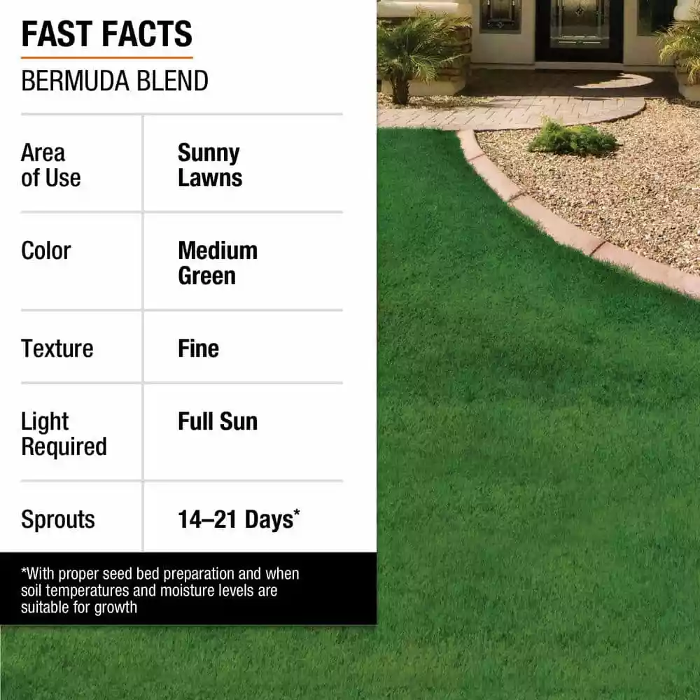 Vigoro 10 lbs. Bermuda Grass Seed Blend with Water Saver Seed Coating 14 Vigoro 10 lbs. Bermuda Grass Seed Blend with Water Saver Seed Coating - Image 12