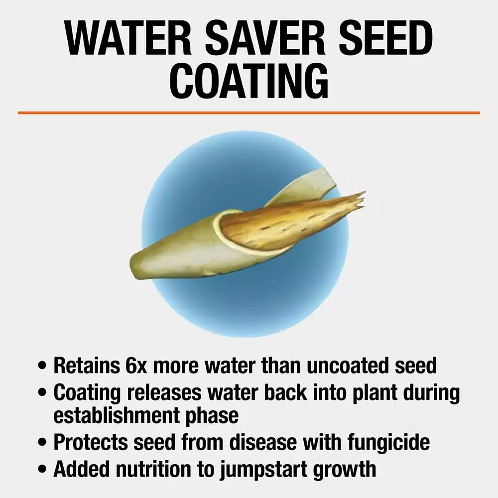 Vigoro 3 lbs. Tall Fescue Grass Seed Blend with Water Saver Seed Coating 7 Vigoro 3 lbs. Tall Fescue Grass Seed Blend with Water Saver Seed Coating - Image 5