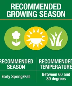 Vigoro 3 lbs. Tall Fescue Grass Seed Blend with Water Saver Seed Coating 24 Vigoro 3 lbs. Tall Fescue Grass Seed Blend with Water Saver Seed Coating -Outdoor Plant Life vigoro grass seed 25684 1f 1000