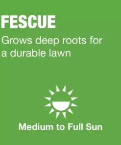 Vigoro 3 lbs. Tall Fescue Grass Seed Blend with Water Saver Seed Coating 18 Vigoro 3 lbs. Tall Fescue Grass Seed Blend with Water Saver Seed Coating -Outdoor Plant Life vigoro grass seed 25684 a0 1000