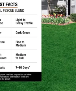 Vigoro 3 lbs. Tall Fescue Grass Seed Blend with Water Saver Seed Coating 26 Vigoro 3 lbs. Tall Fescue Grass Seed Blend with Water Saver Seed Coating -Outdoor Plant Life vigoro grass seed 25684 fa 1000