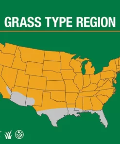 Vigoro 20 lbs. Tall Fescue Grass Seed Blend with Water Saver Seed Coating -Outdoor Plant Life vigoro grass seed 25686 e1 1000