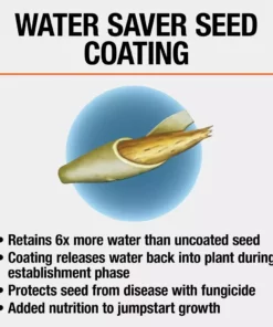 Vigoro 3 lbs. Dense Shade Grass Seed Mix with Water Saver Seed Coating -Outdoor Plant Life vigoro grass seed 25689 1d 1000