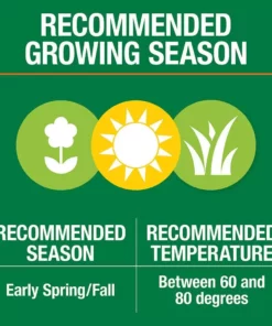 Vigoro 3 lbs. Dense Shade Grass Seed Mix with Water Saver Seed Coating -Outdoor Plant Life vigoro grass seed 25689 1f 1000