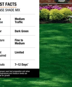 Vigoro 7 lbs. Dense Shade Grass Seed Mix with Water Saver Seed Coating -Outdoor Plant Life vigoro grass seed 25690 1f 1000