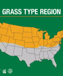 Vigoro 20 lbs. Contractor's Grass Seed Northern Mix with Water Saver Seed Coating -Outdoor Plant Life vigoro grass seed 25691 66 1000