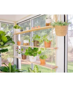 Vigoro 6 in. Golden Pothos Indoor Plant in Small White Ribbed Plastic Decor Planter (2-Pack) -Outdoor Plant Life vigoro indoor plants co poth 3 vi wh 1f 1000