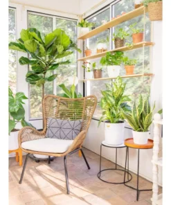 Vigoro 6 in. Peace Lily Indoor Plant in Small White Ribbed Plastic Decor Planter (2-Pack) -Outdoor Plant Life vigoro indoor plants co sy06 3 vi wh 44 1000