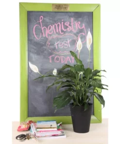 Vigoro 6 in. Peace Lily Indoor Plant in Small White Ribbed Plastic Decor Planter (2-Pack) -Outdoor Plant Life vigoro indoor plants co sy06 3 vi wh c3 1000