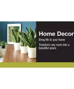 Vigoro 6 in. Sansevieria Snake Plant in Black Decor Pot -Outdoor Plant Life vigoro indoor plants sans6vigoro 40 1000