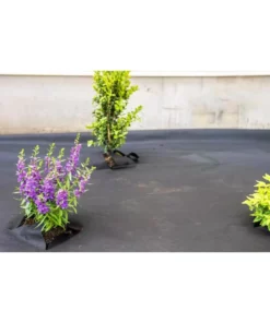 Vigoro 4 ft. x 100 ft. Weed Barrier Landscape Fabric -Outdoor Plant Life vigoro landscape fabric nmv04100b 4f 1000