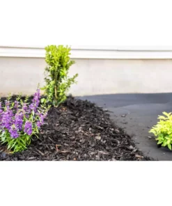 Vigoro 4 ft. x 200 ft. Point Bond Landscape Fabric -Outdoor Plant Life vigoro landscape fabric nmv04200b 1f 1000