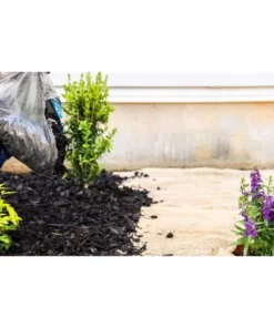 Vigoro 3 ft. x 24 ft. 100% Natural Burlap Landscape Fabric 23 Vigoro 3 ft. x 24 ft. 100% Natural Burlap Landscape Fabric -Outdoor Plant Life vigoro landscape fabric nmvb0324 1f 1000