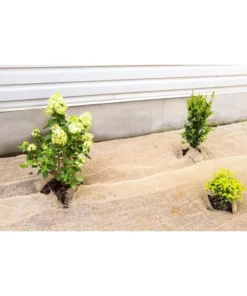 Vigoro 3 ft. x 24 ft. 100% Natural Burlap Landscape Fabric 22 Vigoro 3 ft. x 24 ft. 100% Natural Burlap Landscape Fabric -Outdoor Plant Life vigoro landscape fabric nmvb0324 4f 1000