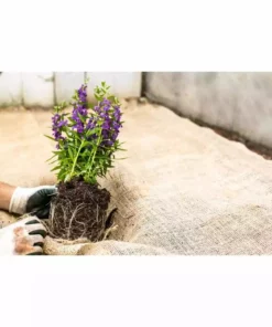 Vigoro 3 ft. x 24 ft. 100% Natural Burlap Landscape Fabric 21 Vigoro 3 ft. x 24 ft. 100% Natural Burlap Landscape Fabric -Outdoor Plant Life vigoro landscape fabric nmvb0324 c3 1000