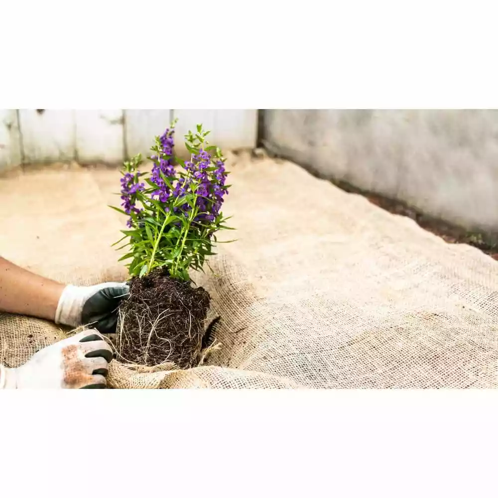 Vigoro 3 ft. x 24 ft. 100% Natural Burlap Landscape Fabric 10 Vigoro 3 ft. x 24 ft. 100% Natural Burlap Landscape Fabric - Image 8