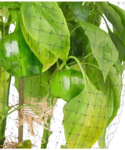 Vigoro 14 ft. x 14 ft. Polypropylene Bird Block Netting and Barrier -Outdoor Plant Life vigoro landscape fabric nmvbb1414 1d 1000