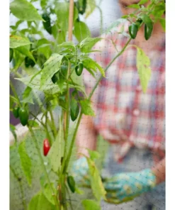 Vigoro 14 ft. x 14 ft. Polypropylene Bird Block Netting and Barrier -Outdoor Plant Life vigoro landscape fabric nmvbb1414 1f 1000