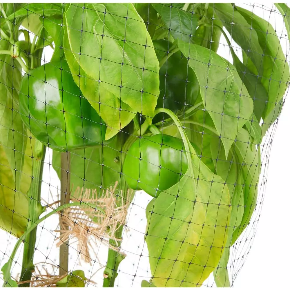 Vigoro 14 ft. x 45 ft. UV Treated Polypropylene Bird Block Netting and Barrier 9 Vigoro 14 ft. x 45 ft. UV Treated Polypropylene Bird Block Netting and Barrier - Image 7